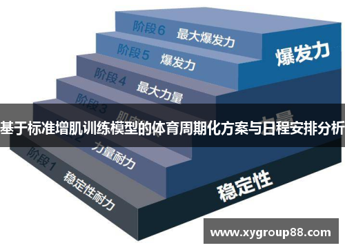 基于标准增肌训练模型的体育周期化方案与日程安排分析