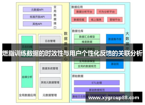 燃脂训练数据的时效性与用户个性化反馈的关联分析